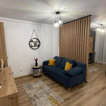 Apartmán Alexia Flat Sibiu Exteriér fotografie